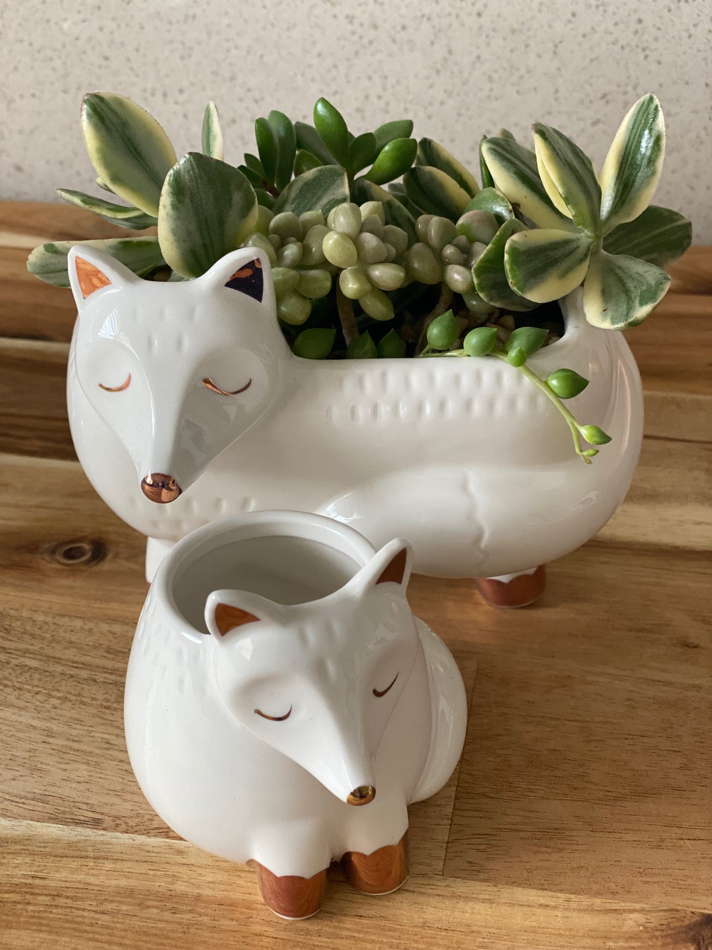 Pot Planter Fox