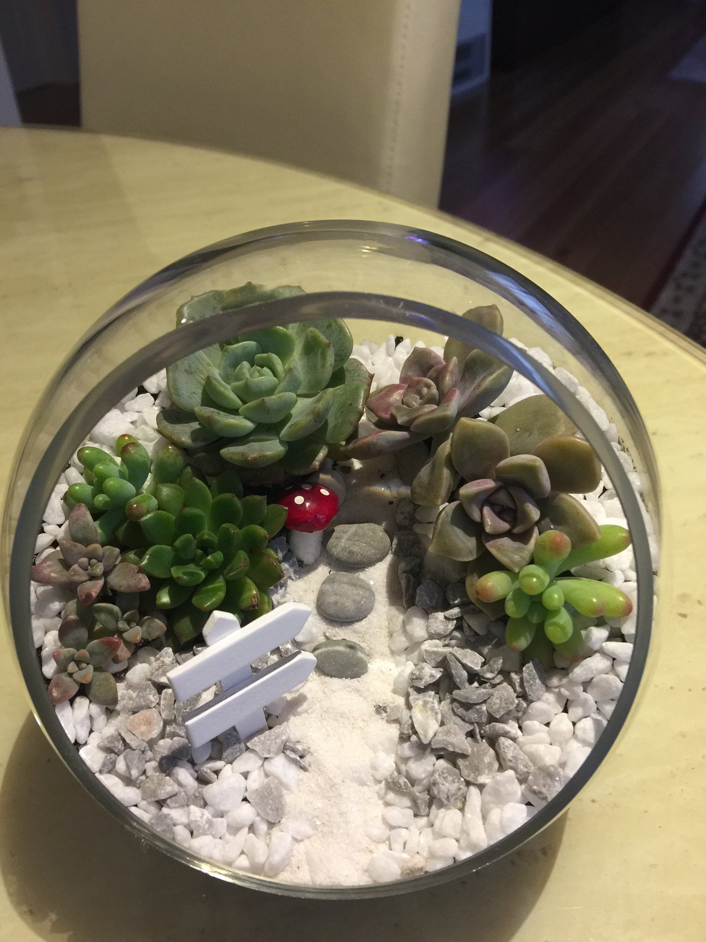Open Terrariums