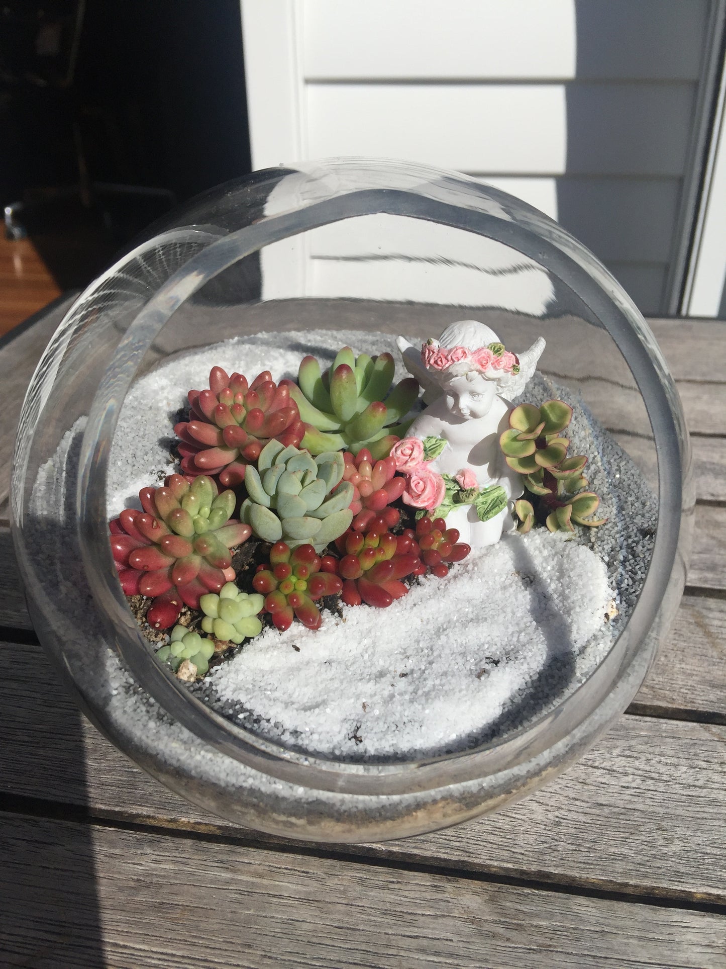 Open Terrariums