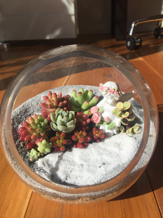 Open Terrariums