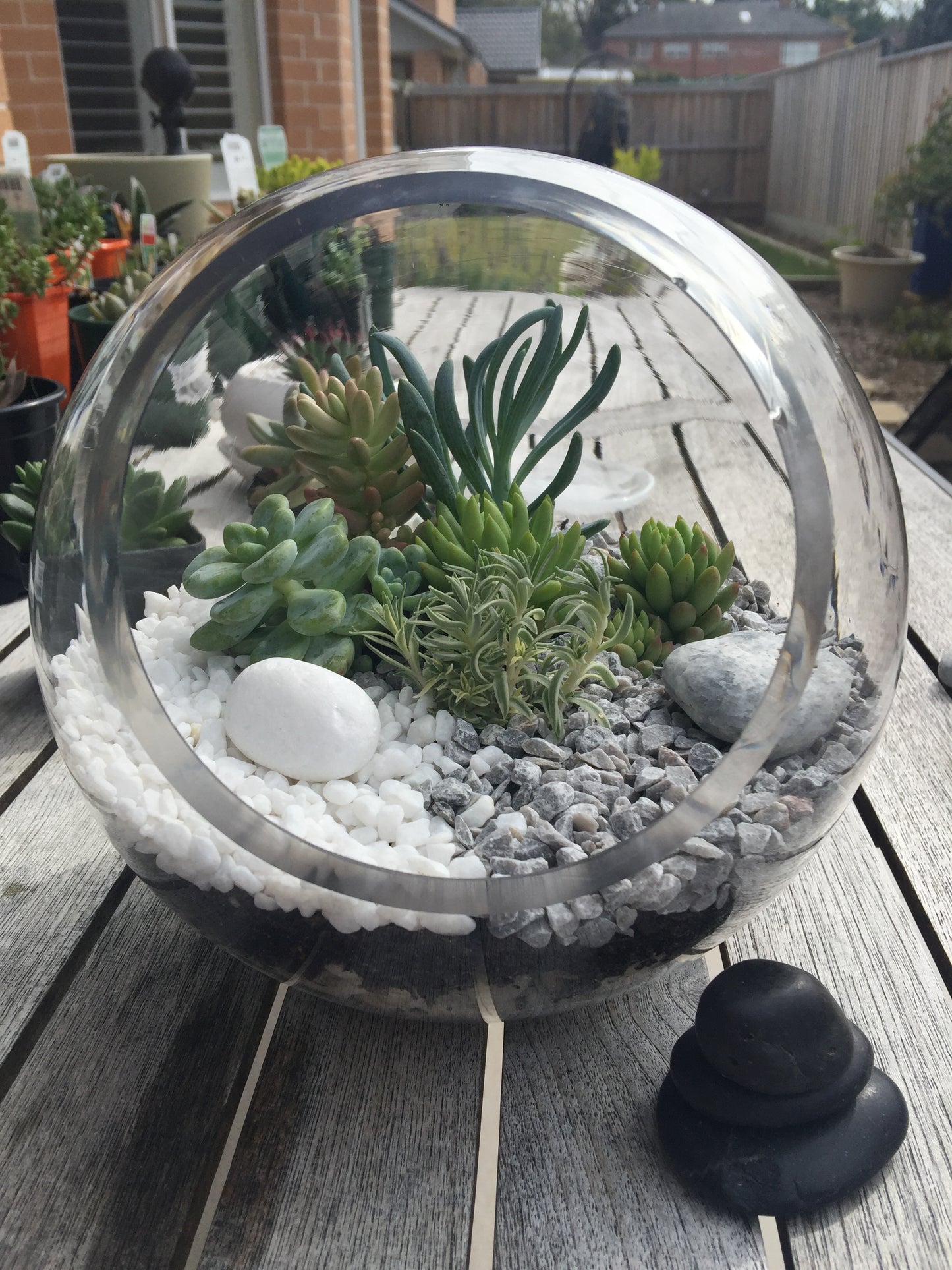 Open Terrariums