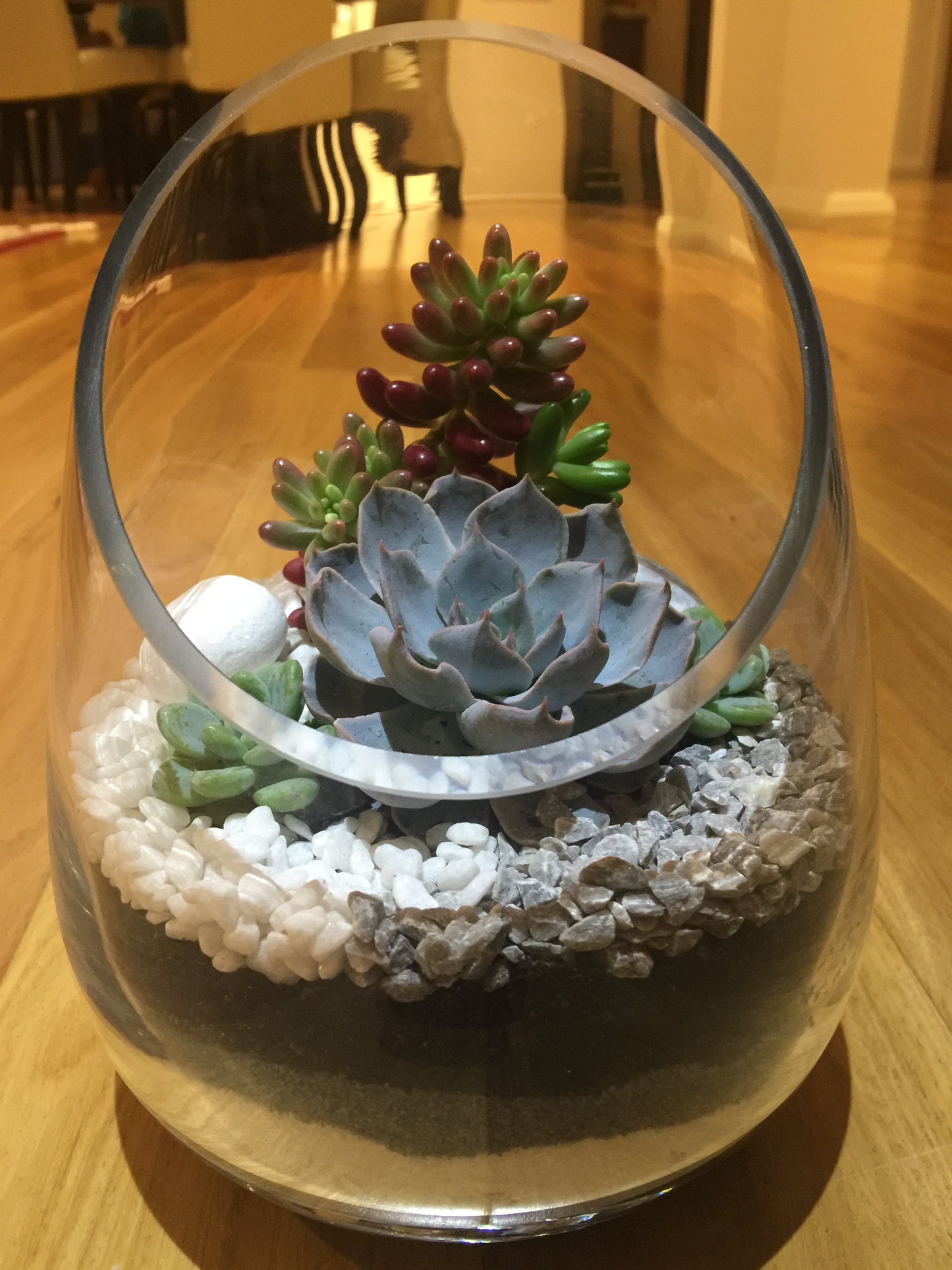 Open Terrariums